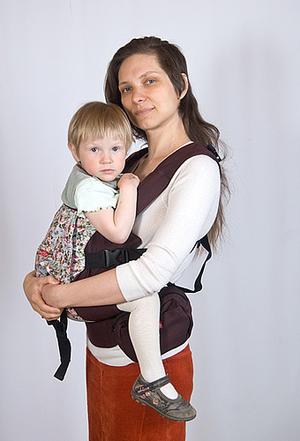 Летняя роза