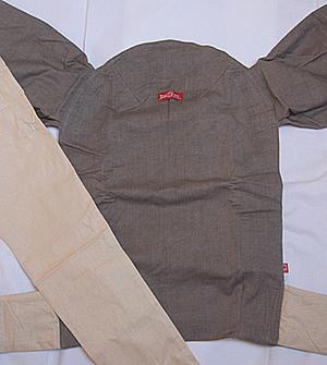 Серый лебедь