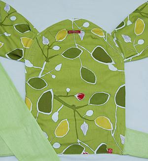 Лимонное дерево