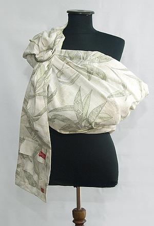 Зеленое алоэ