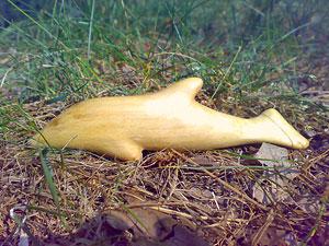 Дельфин, береза