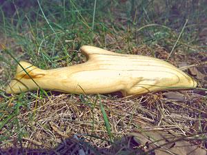 Дельфин, липа