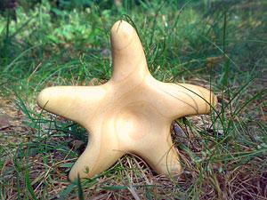 Морская звезда, липа