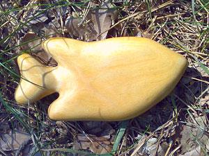 Рыбка, береза