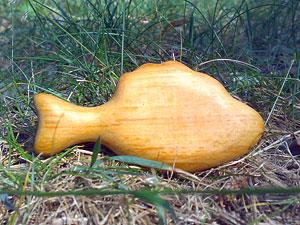 Рыбка, ольха