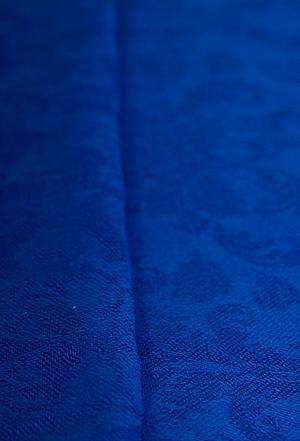 Синяя птица