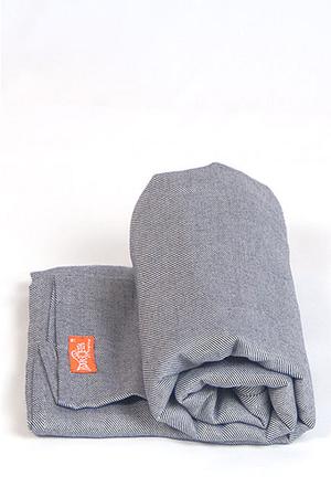 Быстрая зебра