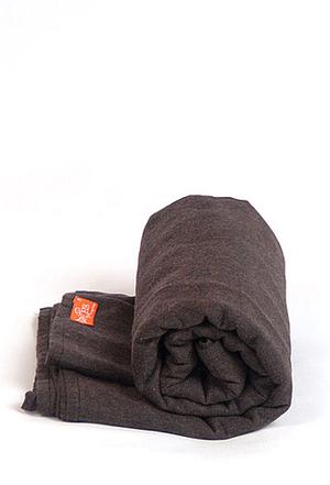 Бурый медведь