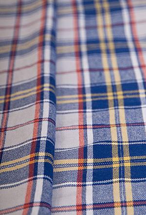 Сине-белая шотландка