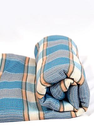 Синяя птица