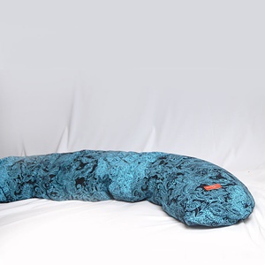 Летучий корабль