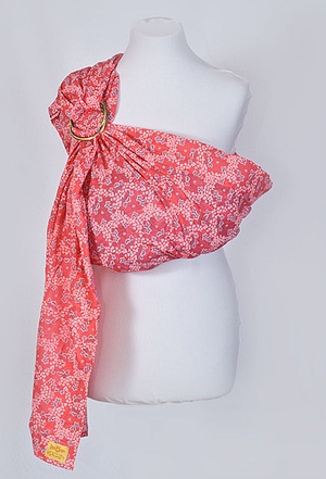 Осенняя рябина